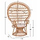 ΠΟΛΥΘΡΟΝΑ ROYAL PEACOCK HM9342 RATTAN ΣΕ ΦΥΣΙΚΟ-ΜΑΞΙΛΑΡΙ ΜΠΕΖ 114x72x150Yεκ. ΠΟΛΥΘΡΟΝΑ ROYAL PEACOCK HM9342 RATTAN ΣΕ ΦΥΣΙΚΟ-ΜΑΞΙΛΑΡΙ ΜΠΕΖ 114x72x150Yεκ.