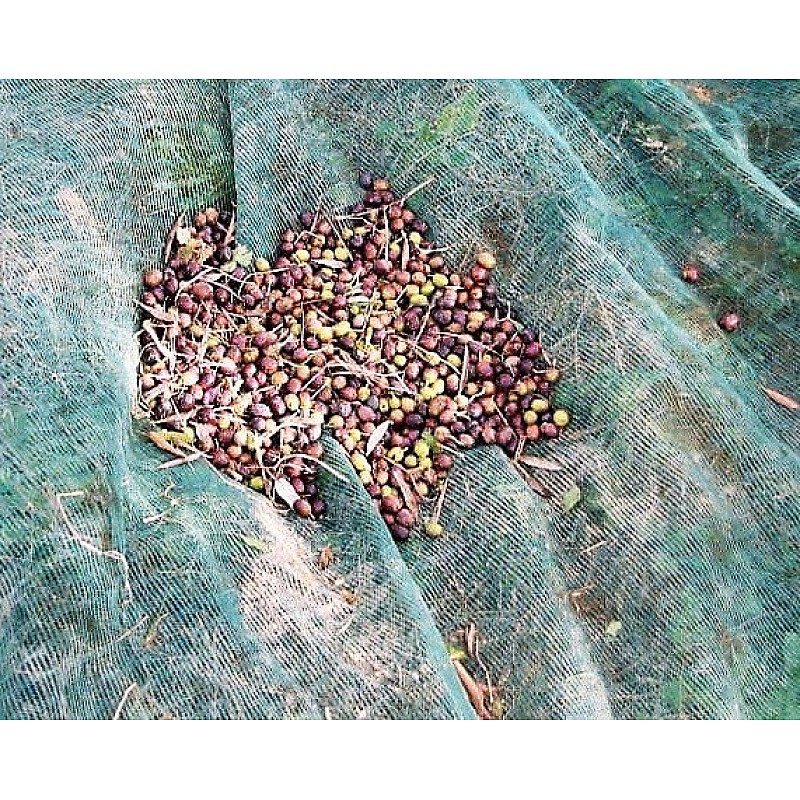Ελαιόδιχτο 5x8m 95gr