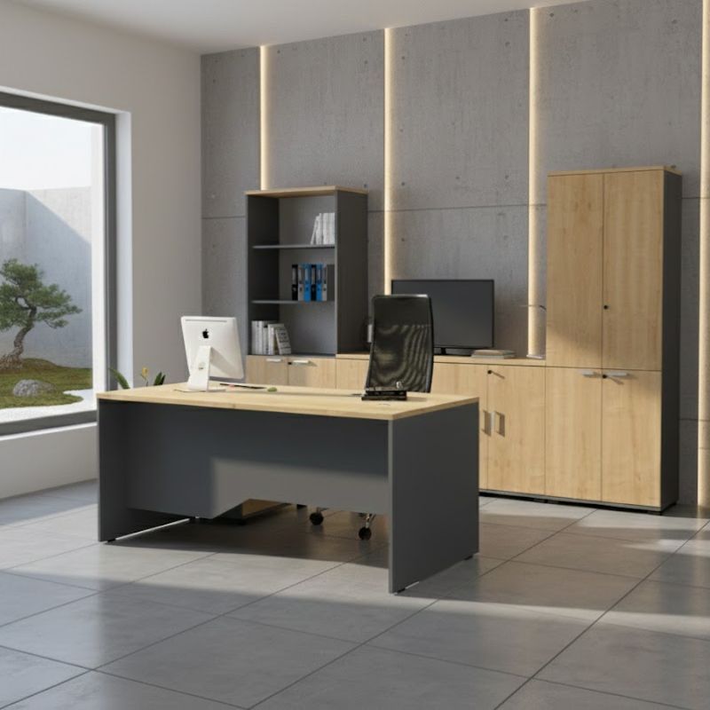 Ντουλάπι γραφείου επαγγελματικό Venturo Megapap χρώμα ανθρακί - φυσικό οξιάς 80x40x80εκ.