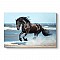 Πίνακας σε καμβά "Black Horse" Megapap ψηφιακής εκτύπωσης 100x70x3εκ.