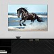 Πίνακας σε καμβά "Black Horse" Megapap ψηφιακής εκτύπωσης 100x70x3εκ.