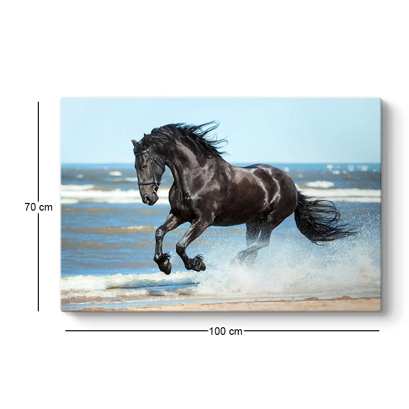 Πίνακας σε καμβά "Black Horse" Megapap ψηφιακής εκτύπωσης 100x70x3εκ.
