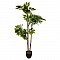 Φυτό Σε Γλάστρα Green6 Pakoworld 70X65X135Εκ
