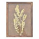 Πίνακας Με Πλαίσιο Floren I Pakoworld 29X2.3X39Εκ