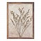 Πίνακας Με Πλαίσιο Floren Ii Pakoworld 29X2.3X39Εκ