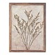 Πίνακας Με Πλαίσιο Floren Ii Pakoworld 29X2.3X39Εκ