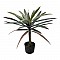 Διακοσμητικό Φυτό Dracaena Palm Σε Γλάστρα Inart Πράσινο Pp Υ62Εκ