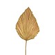Διακοσμητικό Φύλλο Walsy Inart Palm Leaf Σε Φυσική Απόχρωση Υ135 Εκ Διακοσμητικό Φύλλο Walsy Inart Palm Leaf Σε Φυσική Απόχρωση Υ135 Εκ