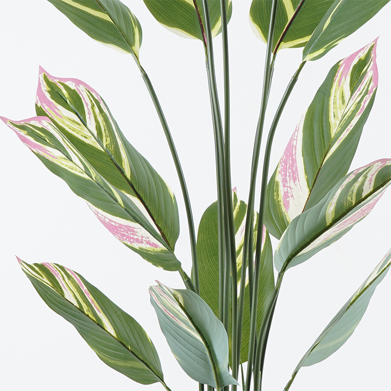 Διακοσμητικό Φυτό Σε Γλάστρα Aglaonema Inart Πράσινο Φ80X150Εκ