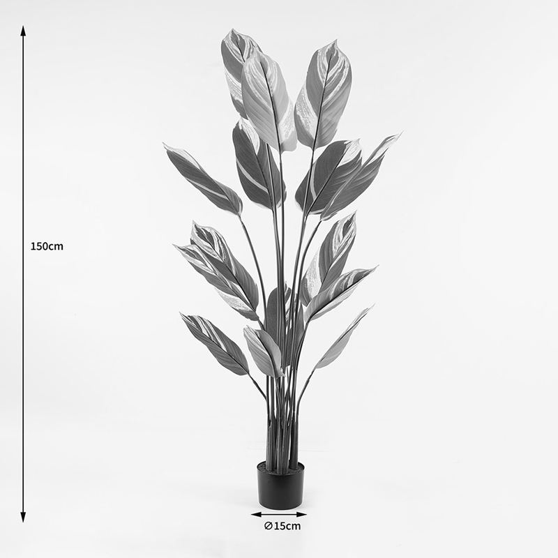 Διακοσμητικό Φυτό Σε Γλάστρα Aglaonema Inart Πράσινο Φ80X150Εκ