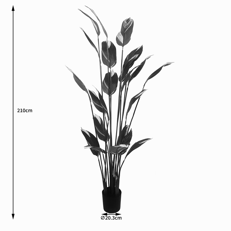 Διακοσμητικό Φυτό Σε Γλάστρα Lucky I Inart Πράσινο Φ80X210Εκ