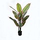 Διακοσμητικό Φυτό Σε Γλάστρα Calathea Inart Πράσινο Φ68X120Εκ