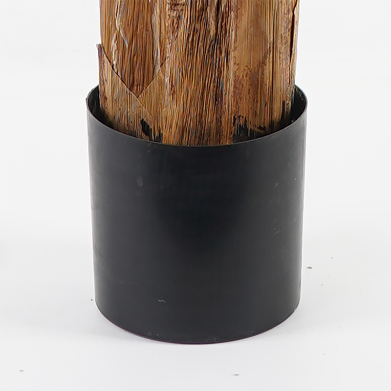 Διακοσμητικό Φυτό Σε Γλάστρα Banana Tree Inart Πράσινο Φ53X190Εκ