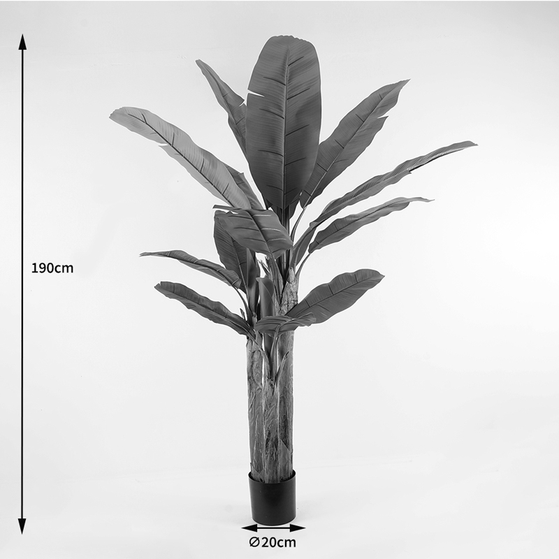 Διακοσμητικό Φυτό Σε Γλάστρα Banana Tree Inart Πράσινο Φ53X190Εκ