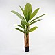 Διακοσμητικό Φυτό Σε Γλάστρα Banana Tree Inart Πράσινο Φ53X190Εκ