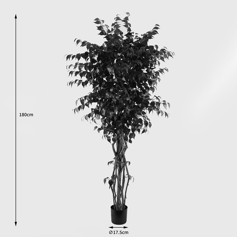 Διακοσμητικό Φυτό Σε Γλάστρα Banyan Inart Πράσινο Φ95X180Εκ