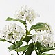 Διακοσμητικό Φυτό Σε Γλάστρα Hydrangea Inart Λευκό Φ35X50Εκ