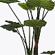 Διακοσμητικό Φυτό Σε Γλάστρα Taro Plant Inart Πράσινο Φ90X180Εκ
