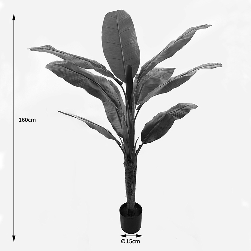 Διακοσμητικό Φυτό Σε Γλάστρα Banono Inart Πράσινο Φ95X160Εκ
