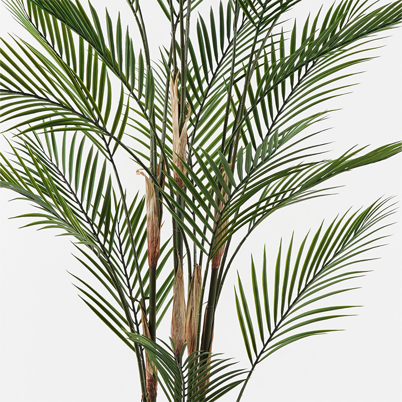 Διακοσμητικό Φυτό Σε Γλάστρα Kwai Inart Πράσινο Φ92X150Εκ