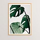 Πίνακας Leafy Pakoworld Με Ψηφιακή Εκτύπωση Και Πλαίσιο 33X1.5X48Εκ